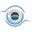 Cyber Audience logo